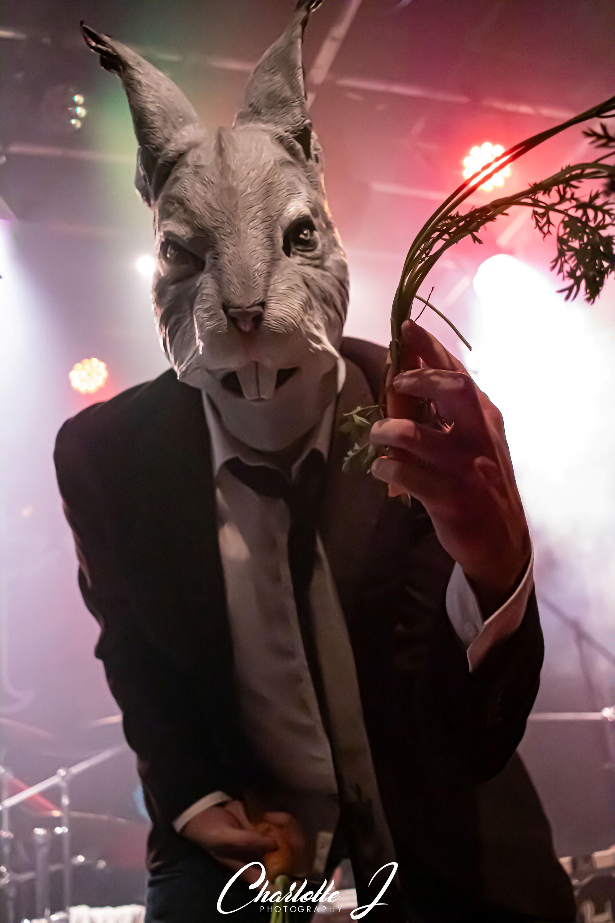 Mr Rabbit